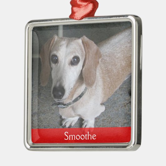 Aangepaste foto-doosversiering metalen ornament (Links)