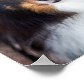 Aangepaste foto- en liefdestekst met petten en nam poster (Hoek)