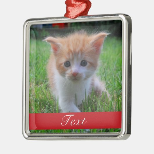 Aangepaste foto en naam of datum metalen ornament (Links)