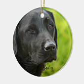 Aangepaste foto en naam van aangepast pakket keramisch ornament (Links)