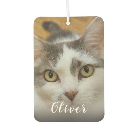 Aangepaste foto- en naamauto luchtverfrisser (Voorkant)