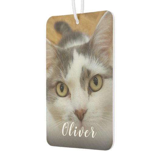 Aangepaste foto- en naamauto luchtverfrisser (Links)