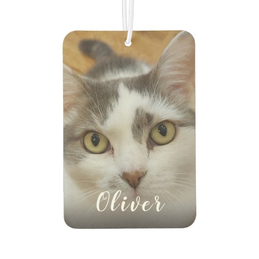 Aangepaste foto- en naamauto luchtverfrisser (Achterkant)