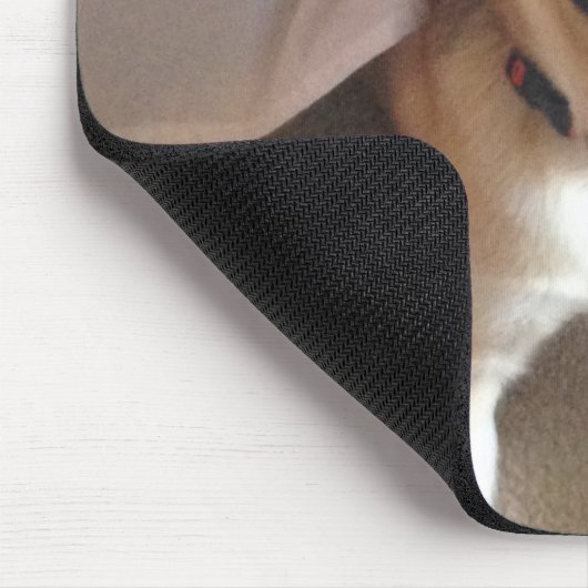 Aangepaste foto- en scriptpagina's van Dog Pet Muismat (Hoek)