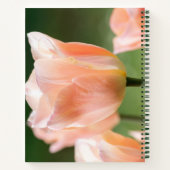 Aangepaste foto en tekst l Schuine roze tulpen Notitieboek (Achterkant)