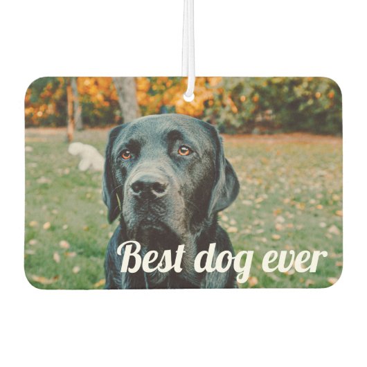 Aangepaste foto en tekst luchtverfrisser (Voorkant)