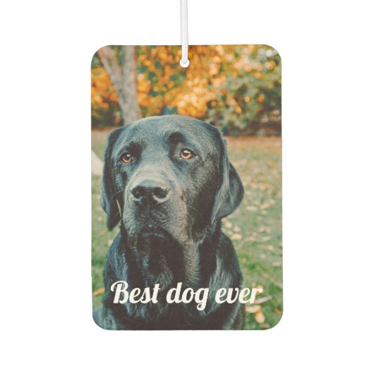 Aangepaste foto en tekst luchtverfrisser (Voorkant)