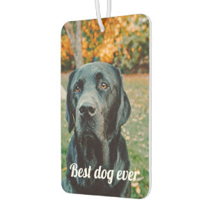 Aangepaste foto en tekst luchtverfrisser