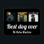 Aangepaste foto en tekst magneet<br><div class="desc">Voeg uw eigen foto en tekst toe aan deze aanpasbare magneet,  die aan uw vereisten van Ricaso is aangepast</div>