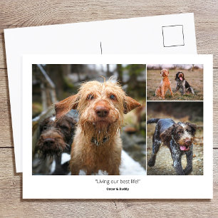 Aangepaste foto Familiedierenhuisdier Citaten & Gr Briefkaart