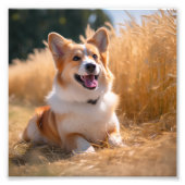 Aangepaste foto foto afdruk (Voorkant)