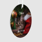 Aangepaste foto foto's en jaarlijkse feestdag ornament (voorkant)