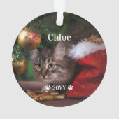 Aangepaste foto foto's en jaarlijkse feestdag ornament (achterkant)