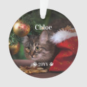 Aangepaste foto foto's en jaarlijkse feestdag ornament (voorkant)