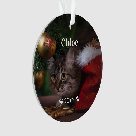 Aangepaste foto foto's en jaarlijkse feestdag ornament (voorkant)