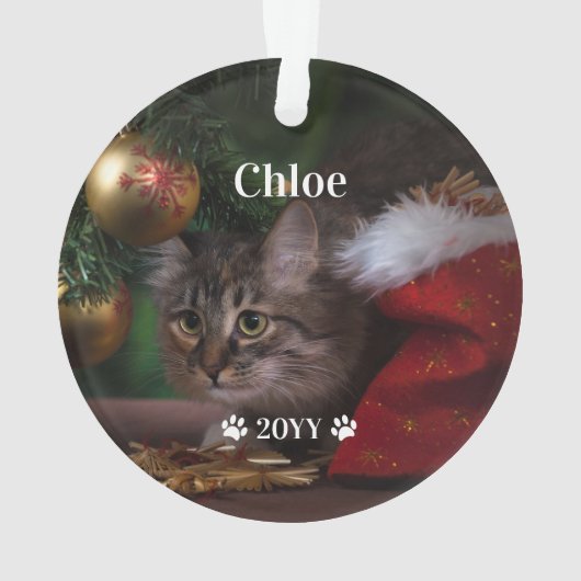 Aangepaste foto foto's en jaarlijkse feestdag ornament (achterkant)