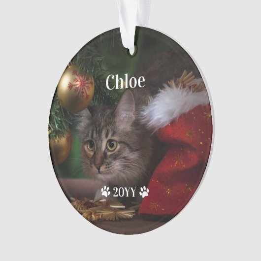 Aangepaste foto foto's en jaarlijkse feestdag ornament (voorkant)