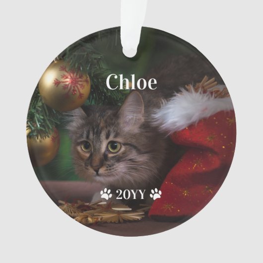 Aangepaste foto foto's en jaarlijkse feestdag ornament (voorkant)