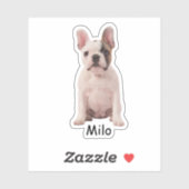 Aangepaste foto Franse bulldog puppy Sticker (Vel)