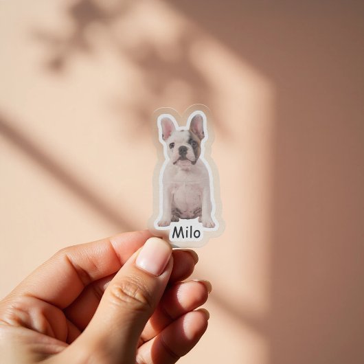 Aangepaste foto Franse bulldog puppy Sticker