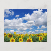Aangepaste foto gepersonaliseerd briefkaart (Voorkant)