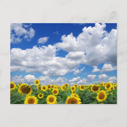 Aangepaste foto gepersonaliseerd briefkaart (Voorkant)