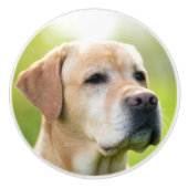 Aangepaste foto Gepersonaliseerde deur en lade Keramische Knop (Voorkant)