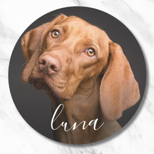 Aangepaste Foto Gepersonaliseerde Pet Naam Ronde Sticker