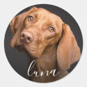 Aangepaste Foto Gepersonaliseerde Pet Naam Ronde Sticker (Voorkant)