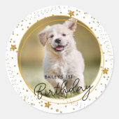 Aangepaste foto Gold Glitter Stars Dog Birthday Ronde Sticker (Voorkant)