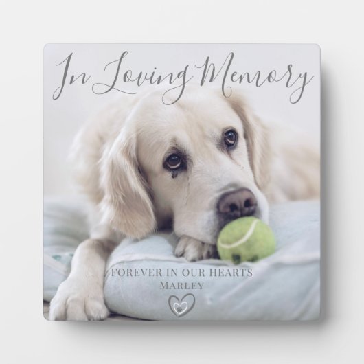 Aangepaste foto hond huisdier herinnering fotoplaat (Voorkant)