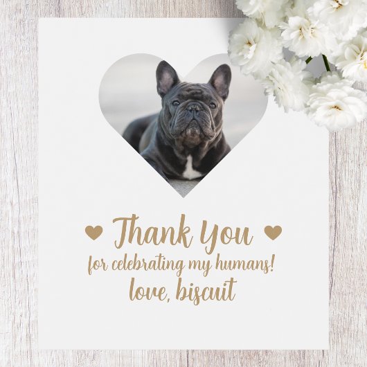 Aangepaste foto hond ik doe ook bruiloft wijn labe wijn etiket