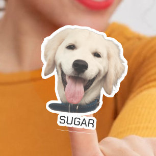 Aangepaste Foto Hond Kat Huisdier   Gepersonalisee Sticker