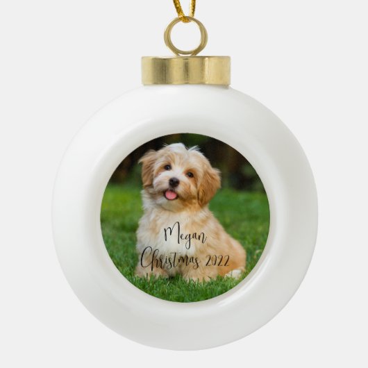 Aangepaste foto hond keramische kerstbal bal ornament (Voorkant)