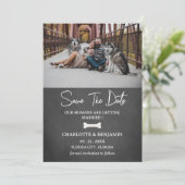 Aangepaste foto hond thema modern save the date (Staand voorkant)