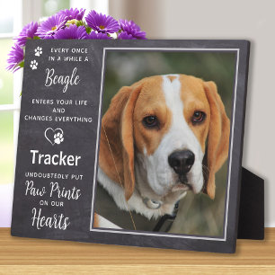 Aangepaste foto huisdier hond Beagle herdenking Fotoplaat