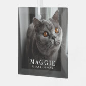 Aangepaste foto huisdier kat herdenking Kerst Glas Ornament (Voorkant links)
