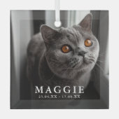 Aangepaste foto huisdier kat herdenking Kerst Glas Ornament (Voorkant)