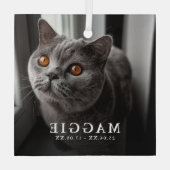 Aangepaste foto huisdier kat herdenking Kerst Glas Ornament (Achterkant)