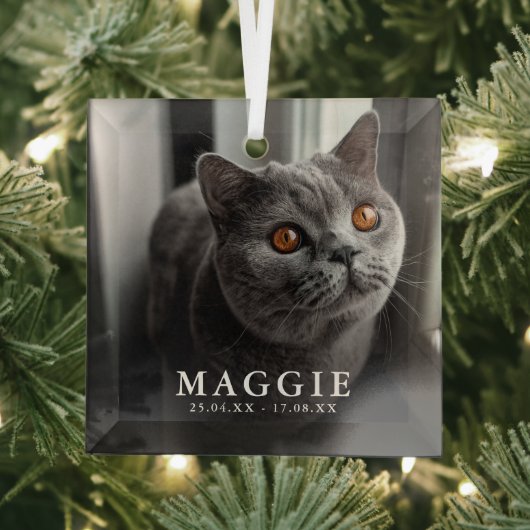 Aangepaste foto huisdier kat herdenking Kerst Glas Ornament (Insitu)