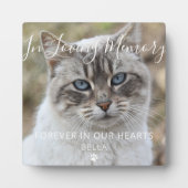 Aangepaste Foto Huisdier Kat Memorial Keepsake Pla Fotoplaat (Voorkant)