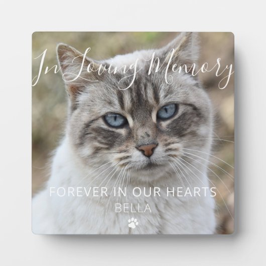 Aangepaste Foto Huisdier Kat Memorial Keepsake Pla Fotoplaat (Voorkant)