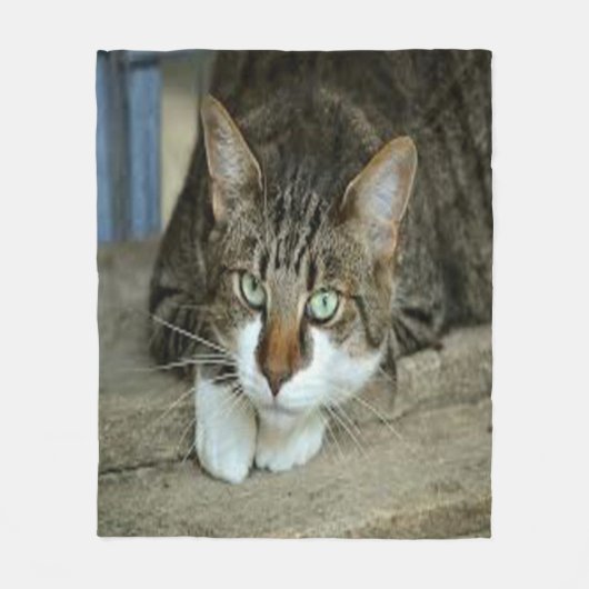 Aangepaste foto-inktbank voor Pet Fleece Deken (Voorkant)