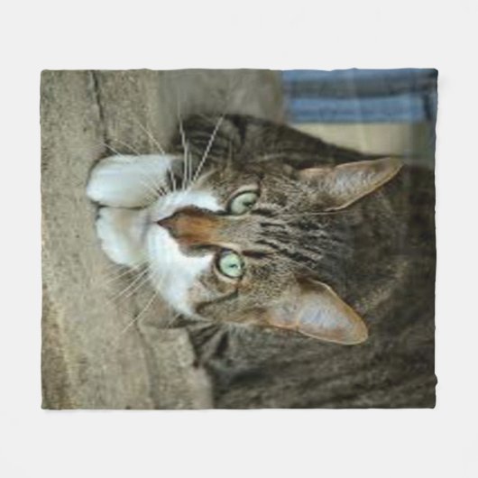 Aangepaste foto-inktbank voor Pet Fleece Deken (Voorkant (Horizontaal))