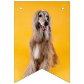 Aangepaste foto-inktvlaggen verjaardagshond  vlaggetjes (Derde vlag)