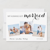 Aangepaste foto-inkuiling Pet Dog Weddenschap Save The Date (Voorkant)