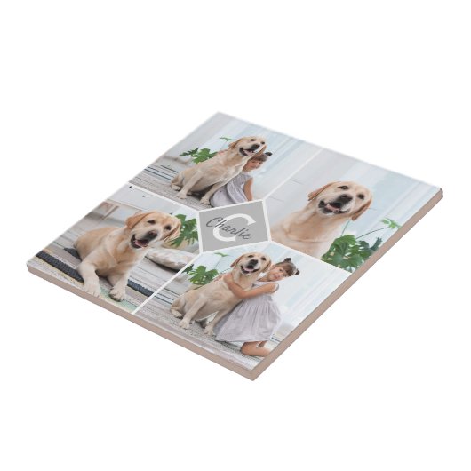 Aangepaste foto-inkuilmonogram Naam Dog Tegeltje (Zijkant)