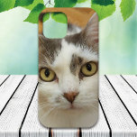 Aangepaste foto iPhone 12 Hoesje-Mate Phone Case<br><div class="desc">Upload een foto en creëer gemakkelijk uw gepersonaliseerde foto iPhone geval. U kunt dit ONTWERP overdragen op andere Zazzle producten en het aanpassen om de meeste Zazzle punten te passen. U kunt VERDER AANPASSEN ook klikken om details zoals achtergrondkleur, tekst, doopvont, of sommige grafiek toe te voegen, te schrappen of...</div>