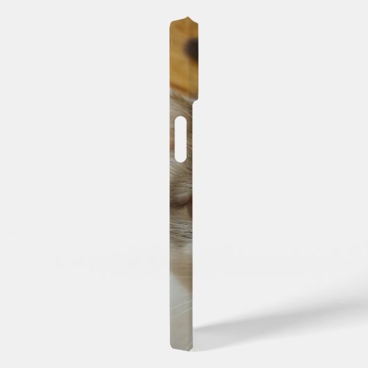 Aangepaste foto iPhone 12 Hoesje-Mate Phone Case (Achterkant / Rechts)