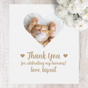 Aangepaste foto kat ik doe ook bruiloft wijn label wijn etiket